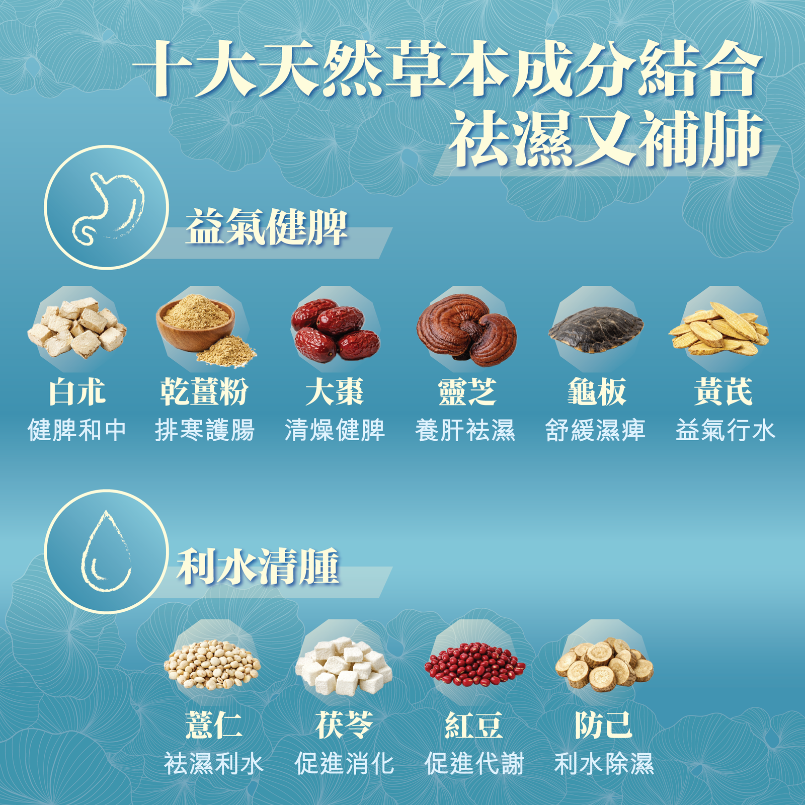 川御 十全袪濕 草本袪濕丸 試用裝(6粒)-川御 TY Science